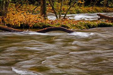Oconaluftee area, Great Smoky Mtns National Park
