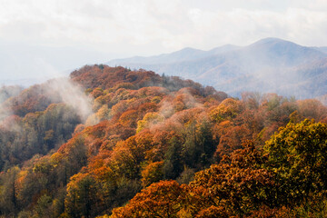 Autumn Landscape, Great Smoky Mountains