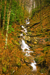 Autumn, Stream, Great Smoky Mountains