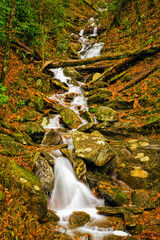 Autumn, Stream, Great Smoky Mountains