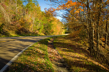 Autumn, Foothills Parkway, East TN