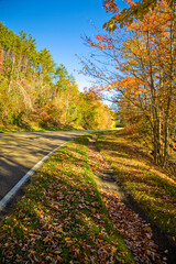 Autumn, Foothills Parkway, East TN