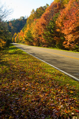 Autumn, Foothills Parkway, East TN