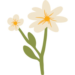 Boho Tropical Fruit Garden