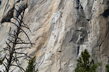 Climbers ascend a sheer granite face, showcasing the challenging sport of rock climbing in a majestic natural setting.