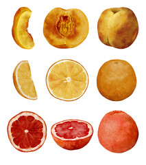 A Vibrant and Diverse Collection of Fresh Fruits Juicy Peaches, Zesty Lemons, Sweet Oranges, and Tangy Grapefruits