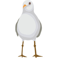 A solitary seagull stands against a pure white background its grey and white feathers detailed and its orange beak slightly open the bird is facing the 
