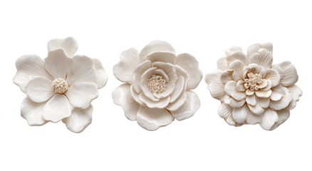 Three ornate white flowers