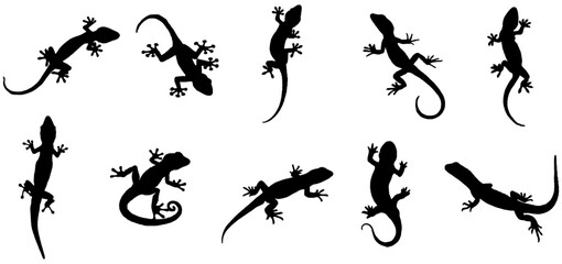 gecko animal silhouette vector set design