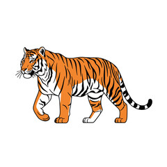 Obraz premium tiger vector illustration