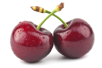 Two juicy cherries glistening with refreshing water droplets present a tempting, healthy treat for summer recipes and vibrant food photography