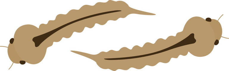 Illustration of Mosquito Larvae