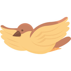 Brown and Tan Sparrow Bird Flying Mid-Air Isolated on White Background with Wings Spread Out and Feather Details Clearly Visible