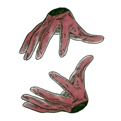 Two human hands positioned above and below. Fingers. Magic pose