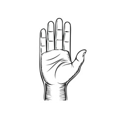 Obraz premium Vintage style open human hand raising palm up stop gesture black and white line art illustration