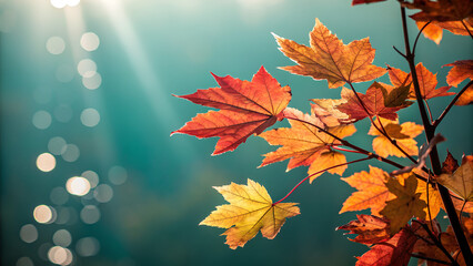 Bright, colorful maple leaves drift on the water, reflecting the beautiful autumn forest and the season's vibrant foliage, Autumn colorful bright leaves swinging in a tree in autumnal park