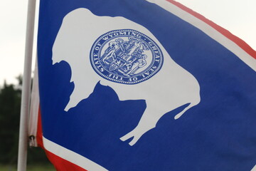 Wyoming state flag