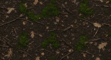 A closeup shows forest floor with dark soil green moss brown leaves twigs and small rocks