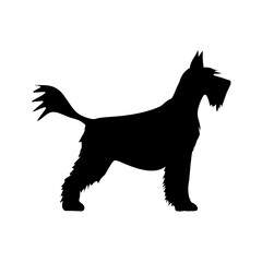 A cute black Scottish Terrier puppy silhouette vector, isolated for pet and nature illustrations