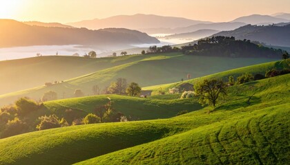 Rolling Green Hills Bathed in Golden Sunrise Light with Wisps of Fog in the Valleys Below