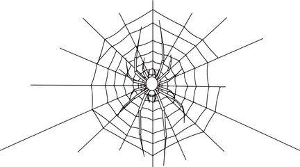 Obraz premium Close-up of a Spiderweb with Dew Drops in Nature