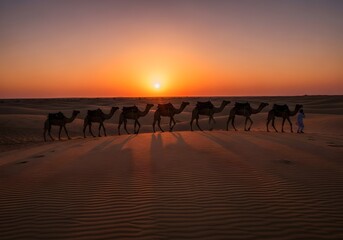 Camel caravan silhouettes crossing golden desert dunes at sunset in Rajasthan, creating perfect reflections on rippled sand patterns beneath dramatic sky