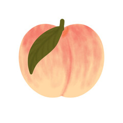 Soft Watercolor Peach Illustration – Fresh Fruit Design for Organic Product Label, Logo, and Botanical Art