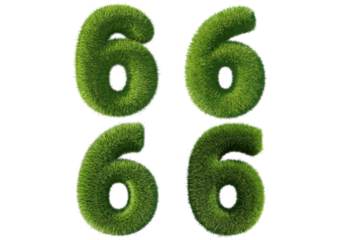 Set Grass font 3d rendering number 6 isolated on a transparent or white background