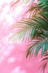 Naklejka premium Green palm leaves with light shadows cast against a soft pink background, creating a calm and tropical ambiance