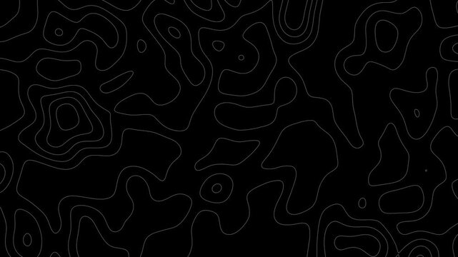 Black and White Contour Lines Background