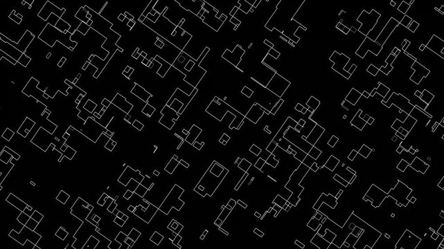 Black And White Lines Morphing Randomly