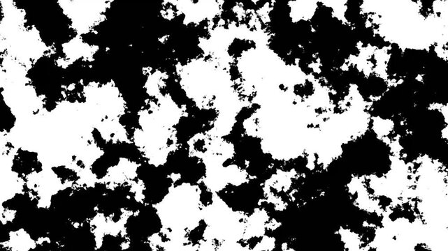 Dynamic Line Art Moving Seamlessly In Loop