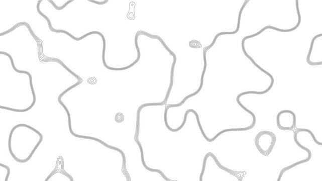 Organic Black And White Loop Animation