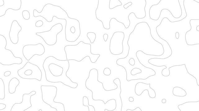Wavy Topographic Lines Forming Abstract Patterns