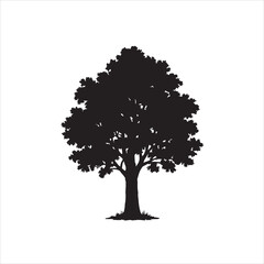 Fototapeta premium tree isolated on white