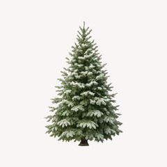 Fototapeta premium Snow-covered evergreen tree illustration.