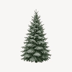 Fototapeta premium Snow-covered evergreen tree illustration.