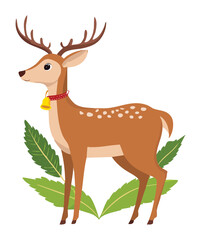 Graceful Adult Male Deer with Full Antlers and Bell Standing on White Background Forest Wildlife Animal Vector Illustration