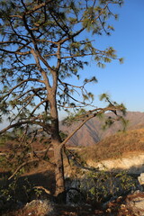 Obraz premium MONTAÑAS DE LA SIERRA DE SINALOA MEXICO