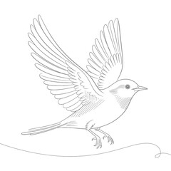 Detailed sketch of a bird in flight with wings spread wide