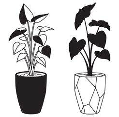 Two black and white decorative houseplants in modern geometric plant pots illustration