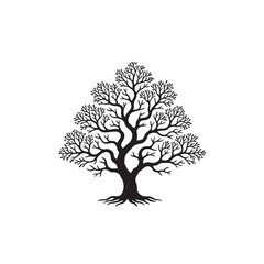 Fototapeta premium “Silhouette of a tree with twisting branches, stark black over white, negative space emphasis”
