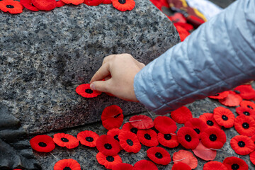 Remembrance Day with poppy flowers in Ottawa, Canada