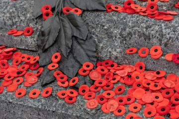 Red poppy flowers covering the Tomb of the Unknown Soldier in Ottawa, Canada, during Remembrance Day
