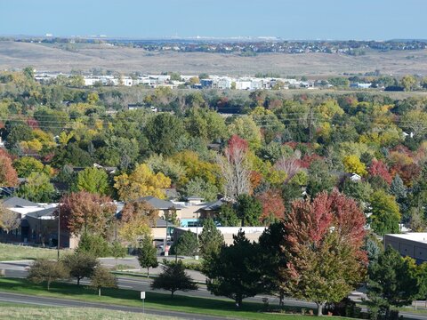 Colorful Autumn Trees in Louisville, Colorado with Distant View of Denver International Airport