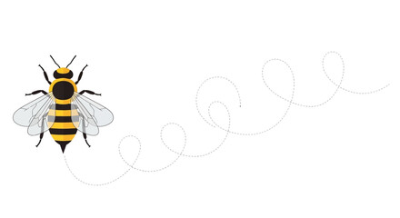 Cartoon Bee Flying with Dotted Line Trail on White Background, Minimalist Style Illustration