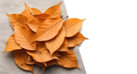Warm autumn leaves arranged beautifully on textured fabric background