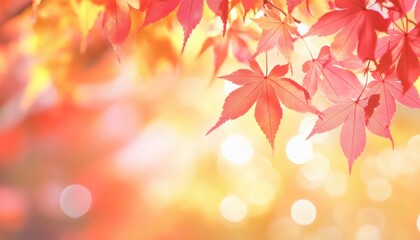 Fototapeta premium Red maple leaves against a blurred autumn background