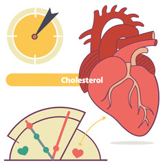 Healthy Heart Insights: A visual guide that combines a simplified human heart diagram with health metrics, time elements, and the concept of cholesterol management, promoting wellness and knowledge.