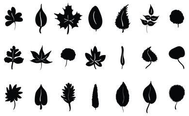 autumn leaves set collection pack bundle black shape icon silhouette vector flat illustration design on white background